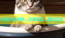 同城约会神器：快速匹配，随时约会