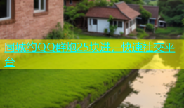 同城约QQ群炮25块进，快速社交平台