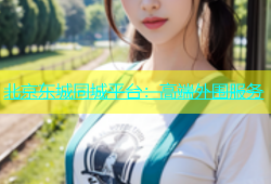 北京东城同城平台：高端外围服务