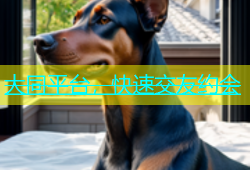 大同平台，快速交友约会