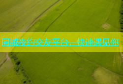 同城夜约交友平台，快速遇见你