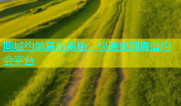 同城约单真伪揭秘，快速找到靠谱约会平台