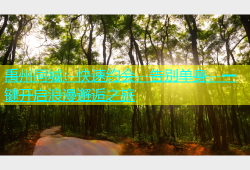禹州同城：快速约会，告别单身，一键开启浪漫邂逅之旅