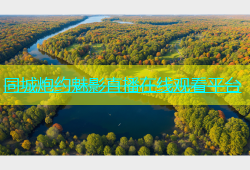同城炮约魅影直播在线观看平台