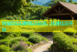 同城约QQ群炮25块进，快速社交平台