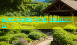 同城约QQ群炮25块进，快速社交平台