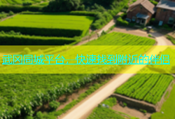 武冈同城平台，快速找到附近的伴侣
