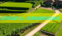 武冈同城平台，快速找到附近的伴侣