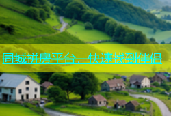 同城拼房平台，快速找到伴侣