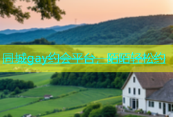 同城gay约会平台，陌陌轻松约