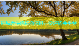 同城无偿炮约微信群，快速约会平台