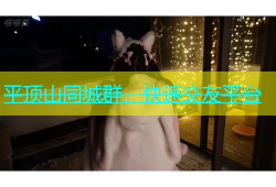 平顶山同城群，快速交友平台