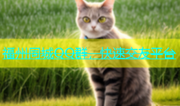 福州同城QQ群，快速交友平台