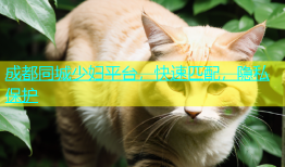成都同城少妇平台，快速匹配，隐私保护