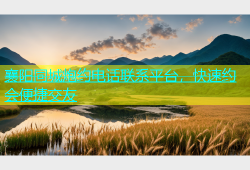 襄阳同城炮约电话联系平台，快速约会便捷交友