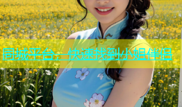 同城平台，快速找到小姐伴侣