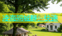 凌海同城群：快速