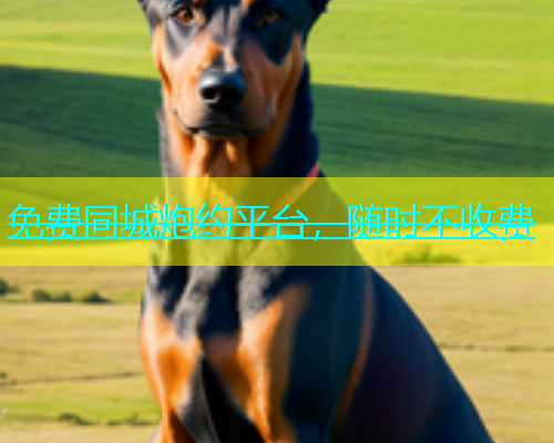 免费同城炮约平台，随时不收费
