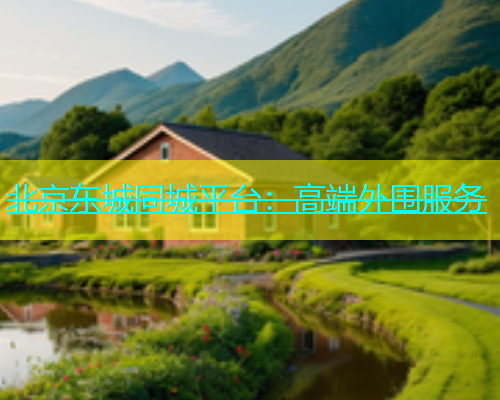 北京东城同城平台：高端外围服务