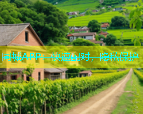 同城APP：快速配对，隐私保护