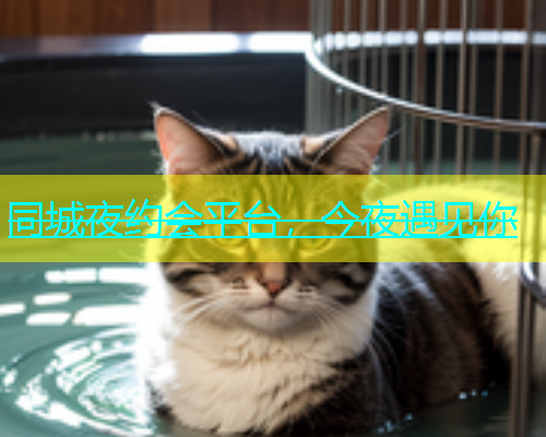同城夜约会平台，今夜遇见你