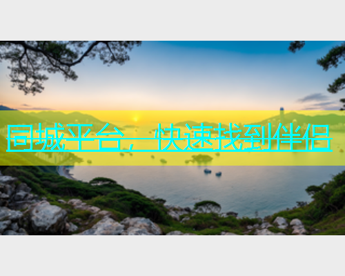同城平台，快速找到伴侣