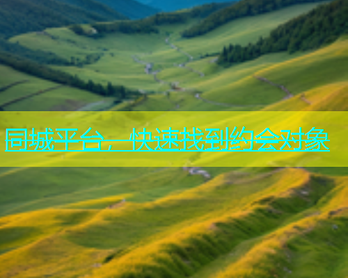 同城平台，快速找到约会对象