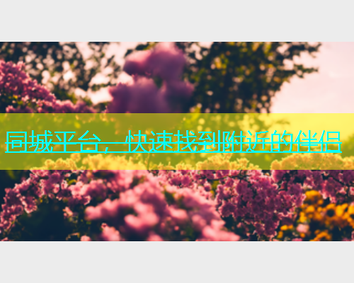 同城平台，快速找到附近的伴侣