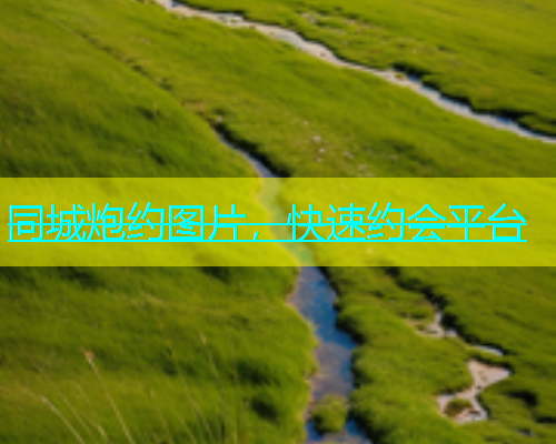 同城炮约图片，快速约会平台
