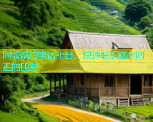 同城炮约电话平台，快速联系遂平附近的朋友
