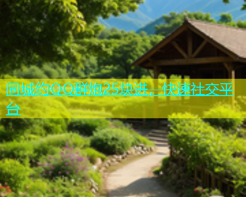 同城约QQ群炮25块进，快速社交平台
