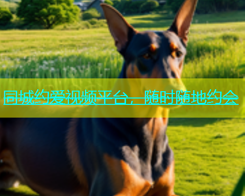 同城约爱视频平台，随时随地约会