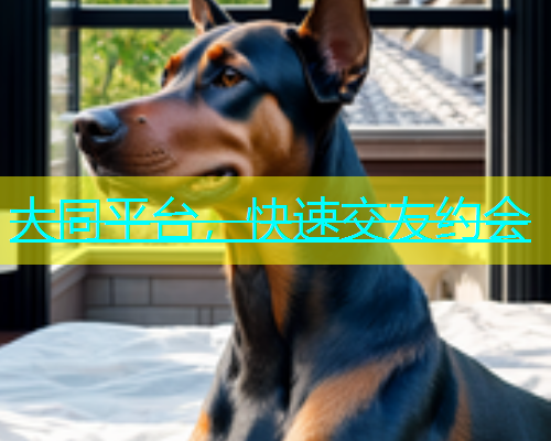 大同平台，快速交友约会