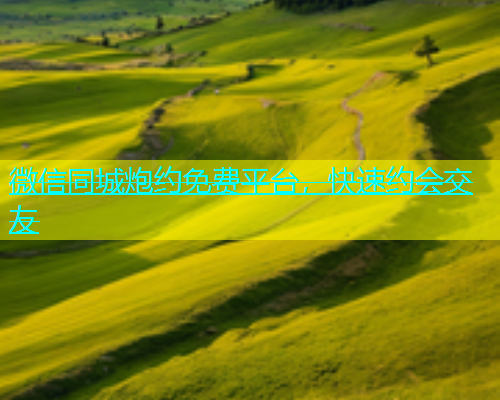 微信同城炮约免费平台，快速约会交友