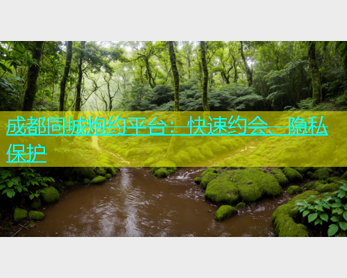 成都同城炮约平台：快速约会、隐私保护