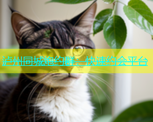泸州同城炮约群：快速约会平台