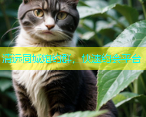 清远同城炮约群，快速约会平台
