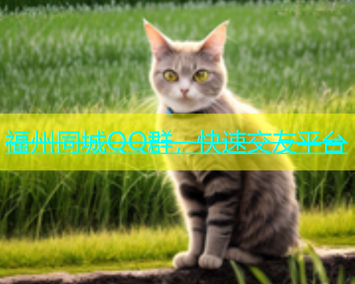 福州同城QQ群，快速交友平台