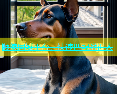 顺德同城平台，快速匹配附近人